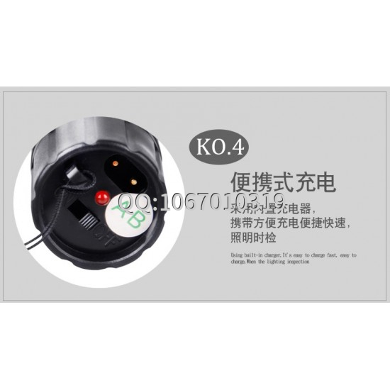 1101型带强光电筒式电击器
